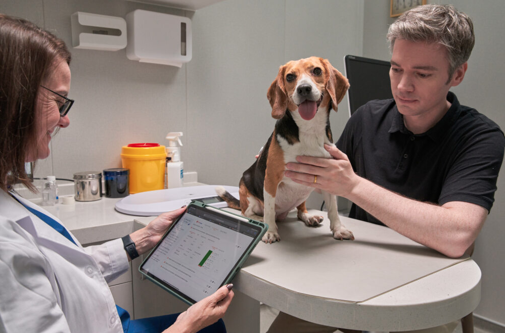 Diabeedi jälgimine loomakliinikus